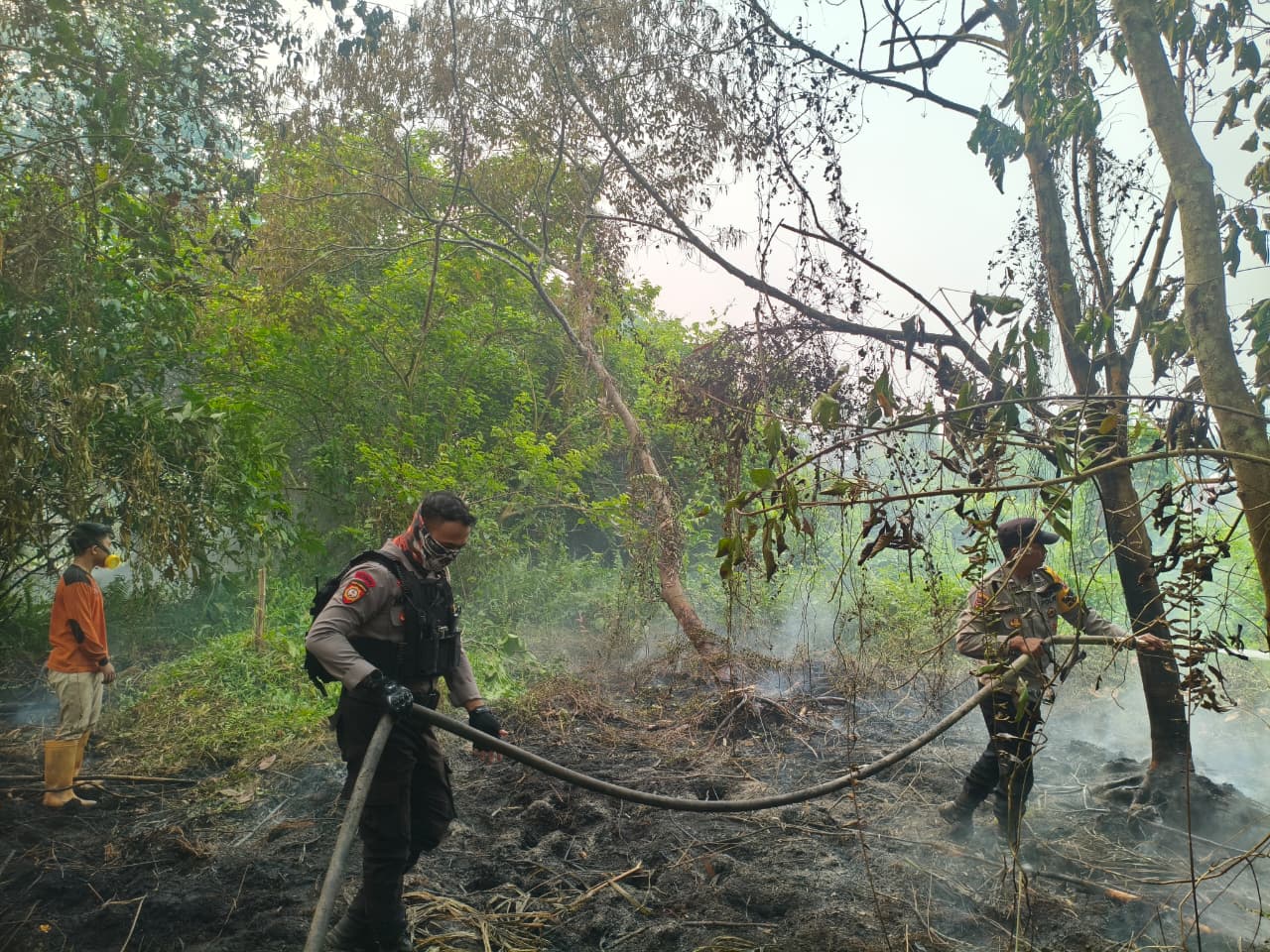 Respons Cepat Laporan Karhutla, Patroli Enggang Resta Bersama Tim Gabungan Padamkan Api