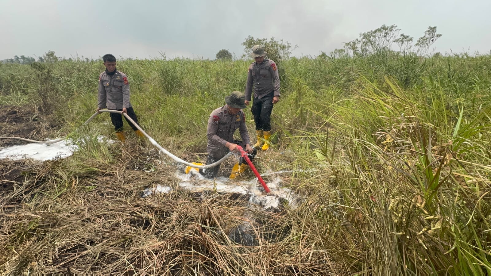 Gunakan Cairan X-FIRE, Polda Jambi Percepat Penanganan Karhutla di Taman Nasional Berbak
