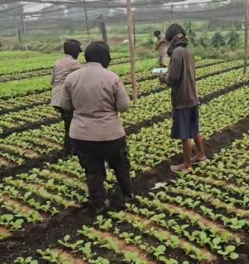 Dukung Ketahanan  Polwan Polsek Pontianak Utara Sambangi Petani Sayur Untuk Memotivasi Jaga Pasokan Hasil Pertanian Dimusim Kemarau