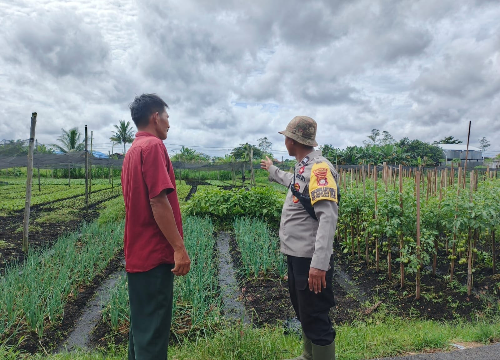 Bhabinkamtibmas Siantan Hilir Semangati Petani Tak Putus Asa Dimusim Kemarau Panjang