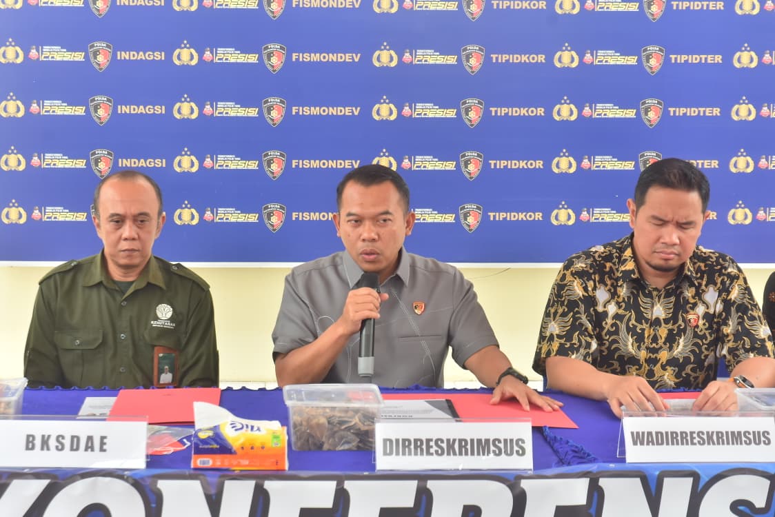 Polda Kalsel Gagalkan Penyelundupan 57,8 Kg Sisik Trenggiling dan 90 Gram Paruh Burung Rangkong, Dua Orang Diamankan