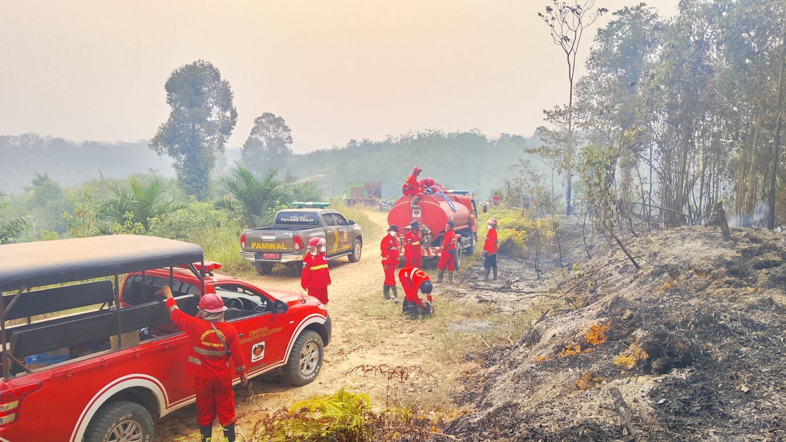 Karhutla Melanda Sungai Pulai Batanghari, Tim Gabungan Bergerak Padamkan Api
