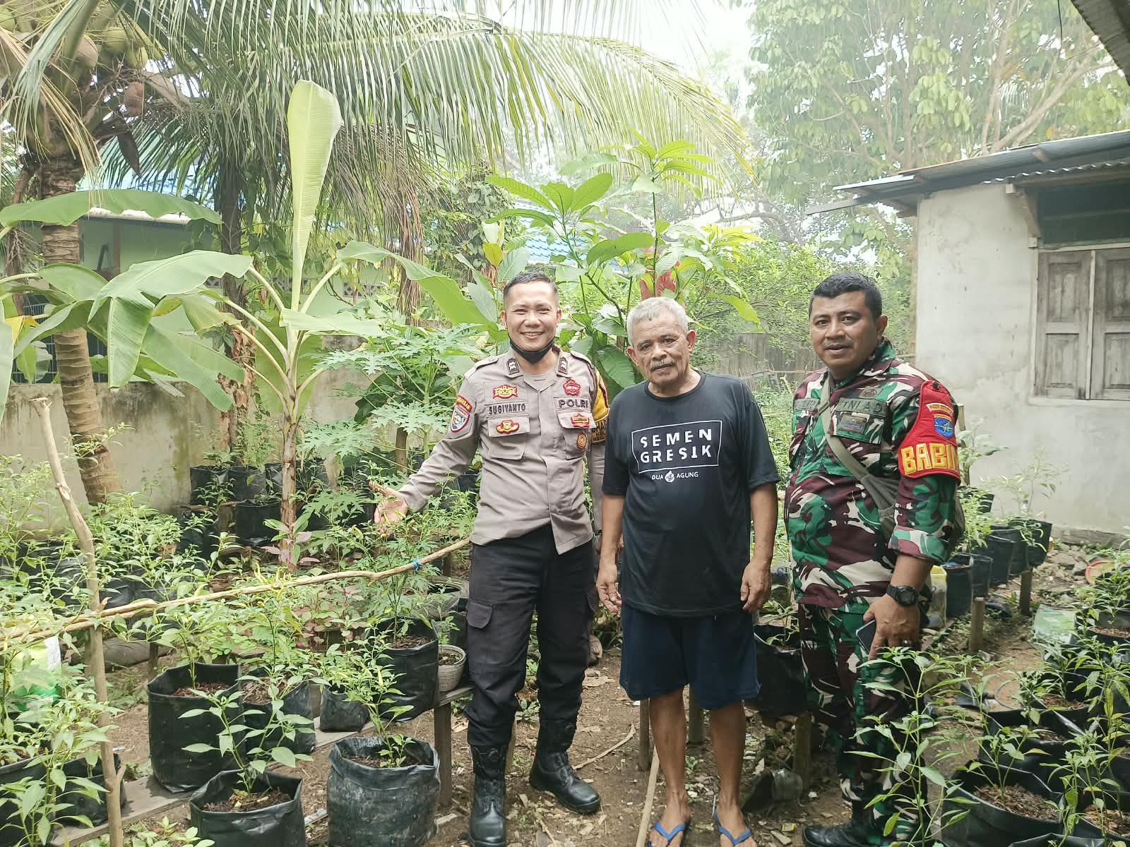 Dukung Swasembada Pangan, Bhabinkamtibmas Sungai Jawi Ajak Warga Manfaatkan Pekarangan