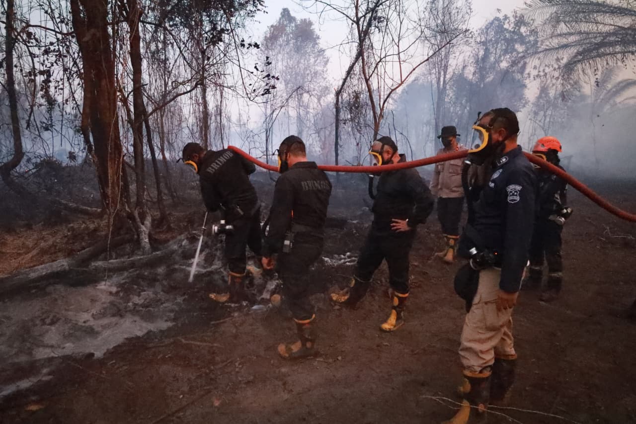 Kapolda Kalsel Turun Langsung Padamkan Kebakaran Lahan Gambut di Banjarbau