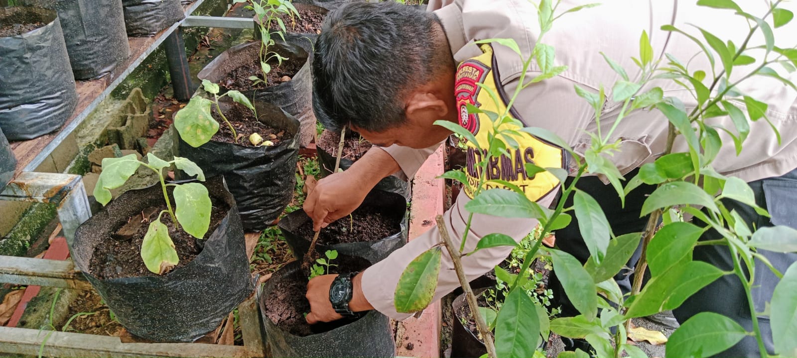 Polsek Pontianak Selatan Dukung Ketahanan Pangan, Manfaatkan Lahan Mako untuk Tanam Sayuran