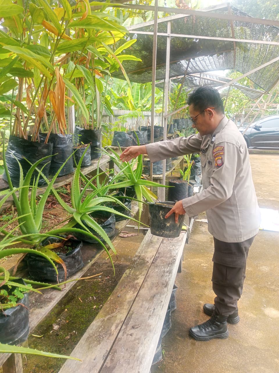 Dukung Ketahanan Pangan, Polsek Pontianak Kota Manfaatkan Lahan Mako untuk Budi Daya Sayuran