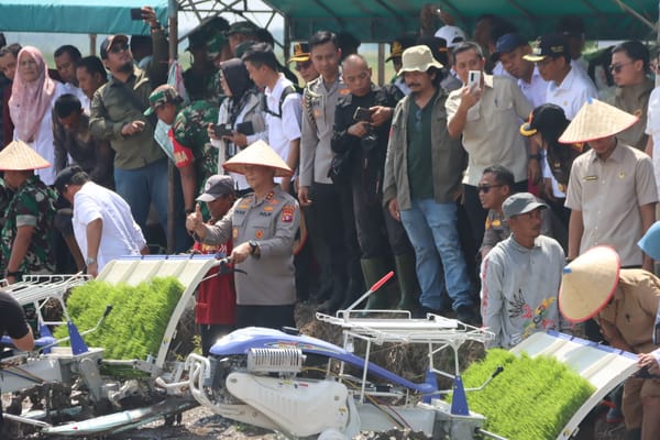 Kolaborasi 14 Provinsi, Kapolda Kalteng Ikut Tanam Padi Massal di Sampit