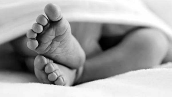 ​Kartu Garansi Magicom Ungkap Kasus Pembuangan Bayi di Jepara​