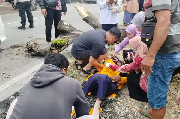 Tertimpa Pohon Roboh, Pengendara Motor di Toroh Grobogan Alami Luka Serius