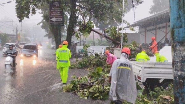 Hujan Deras Disertai Angin Mengamuk di Banyumas, Pohon Tumbang di 4 Kecamatan