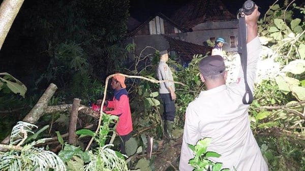 Puting Beliung Mengamuk di Pati, Puluhan Rumah Rusak dan Pohon Tumbang