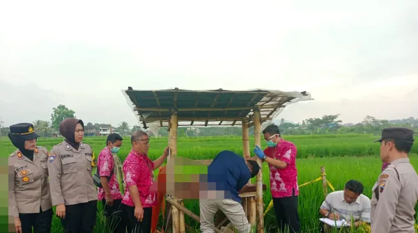 Mengecek Sawah, Mbah Wagimin Temukan Jasad Wanita di Gubuk