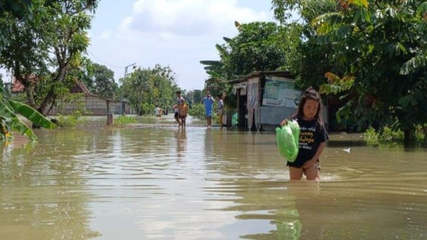 Grobogan Diterjang Banjir, Ratusan Rumah Warga dan Lahan Pertanian Terendam
