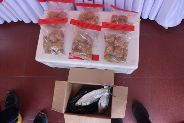Berpura-pura Kirim Ikan, Pelaku Sabu Rp4,8 Miliar Ditangkap Polisi