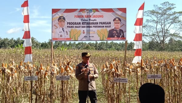 Polda Maluku Utara Gelar Panen Raya Jagung Dukung Ketahanan Pangan Nasional