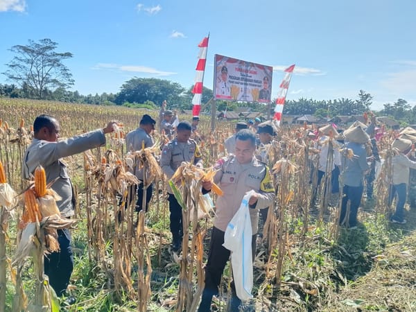 Panen Raya Jagung, Polda Malut Dorong Ketahanan Pangan Lewat Program Asta Cita