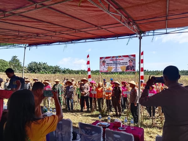 Dukung Asta Cita, Polda Maluku Utara Panen Jagung dari Dana Desa