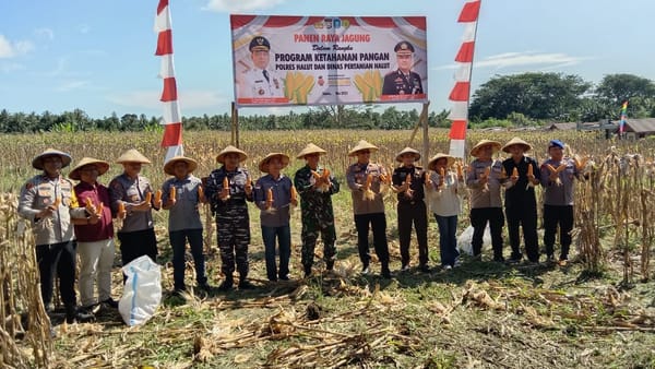 Lewat Dana Desa, Polda Maluku Utara Panen Jagung untuk Program Asta Cita