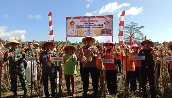Dana Desa Dimanfaatkan, Polda Maluku Utara Panen Jagung Dukung Asta Cita