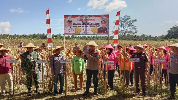 Polda Malut Sukses Panen Raya Jagung, Perkuat Ketahanan Pangan Nasional