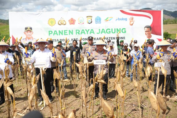 Kapolri dan Mentan Panen Raya Jagung di Bone, Perkuat Ketahanan Pangan Nasional