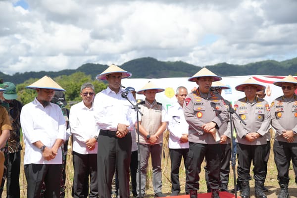 Sinergi Kapolri dan Mentan: Panen Raya Jagung di Bone untuk Dukung Ketahanan Pangan