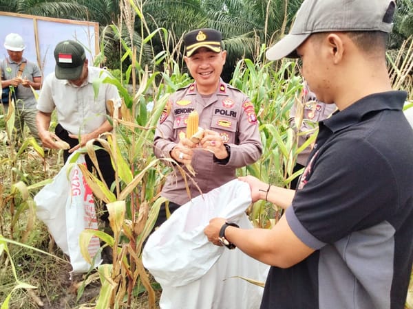 Wujudkan Swasembada Pangan, Polres Seruyan Panen Jagung di Lahan 1,25 Hektar