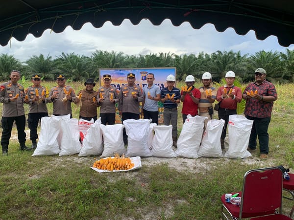 Polres Seruyan Gelar Panen Raya Jagung di Lahan 1,25 Hektar Dukung Ketahanan Pangan