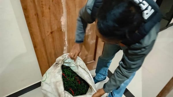 Tertangkap Basah Maling Cabai, Dua ABG di Semarang Bikin Heboh Warga