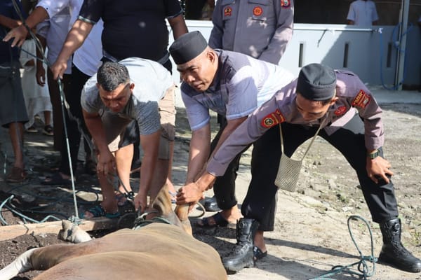 Rayakan Iduladha, Polresta Tidore Bagikan Daging Kurban ke Purnawirawan dan Masyarakat