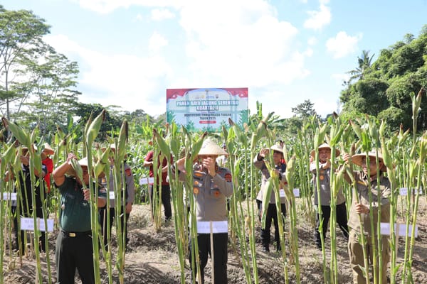 Swasembada Pangan 2025: Kapolda Bali Gelar Panen Raya Jagung di Kuartal Kedua