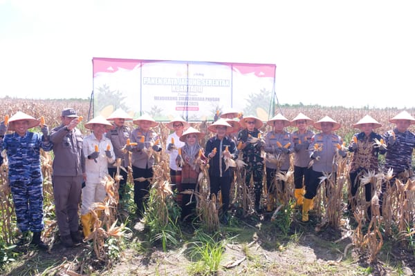 Rekor Nasional: Polda Kalsel Panen Jagung 41,985 Ton di Lahan Rawa