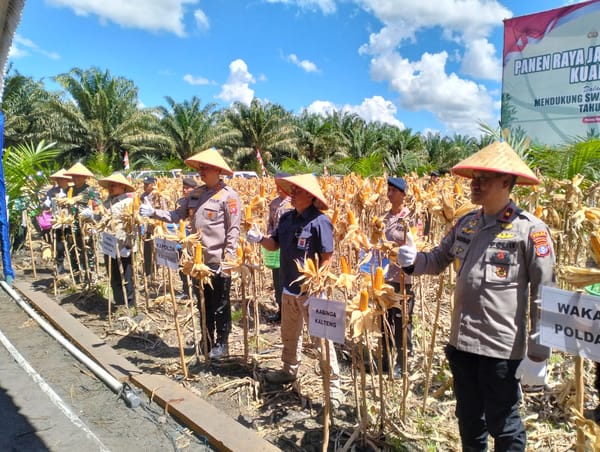 Kapolda dan Wakil Gubernur Kalteng Pimpin Panen Raya Jagung Serentak di Pulang Pisau
