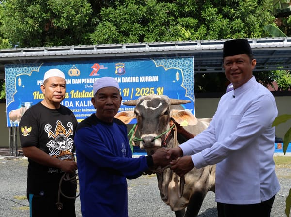 Rayakan Hari Idul Adha 1446 Hijiriah, Polda Kalteng Sembelih 47 Sapi dan 12 Kambing
