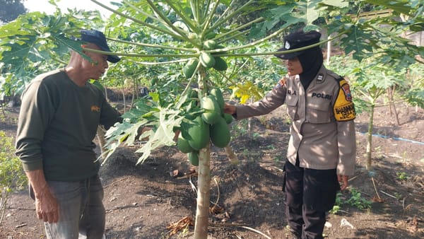 Polsek Taman Polresta Sidoarjo Dampingi Warga Tanam Pepaya Dukung Ketahanan Pangan