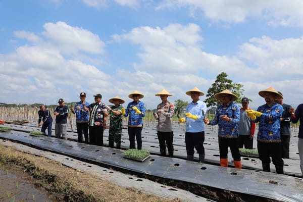 Demi Pangan Mandiri, Forkopimda Malang Serahkan Bantuan Alsintan dan Bibit
