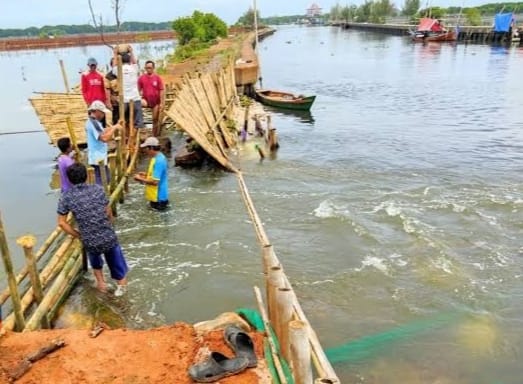 Banjir Rob Rendam Jalur Pantura Jateng, Aktivitas Warga Terganggu