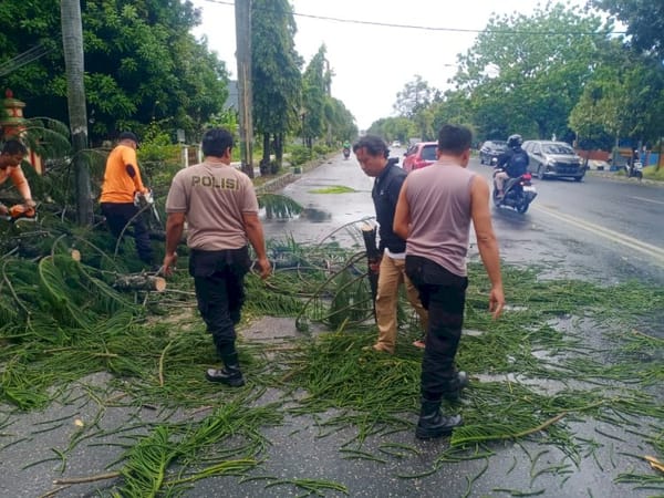 Sigap Tangani Pohon Tumbang, Polresta Pati Normalisasi Arus Lalu Lintas