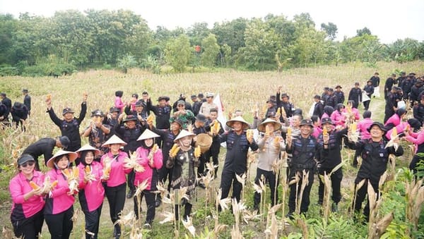 Panen Jagung Naik 33%, Program Ketahanan Pangan Polda Jateng Berbuah Hasil