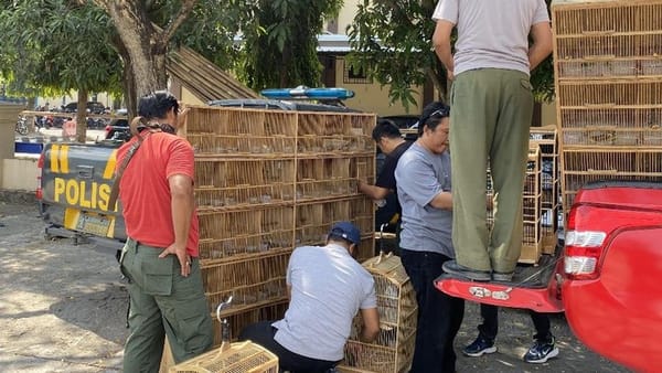 Bos Penjual Burung Langka di Wedi Klaten Berhasil Ditangkap Polisi