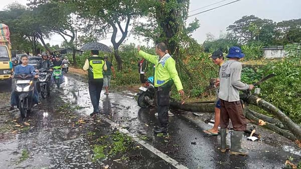 Pohon Tumbang Timpa Pengendara di Jalan Kudus–Pati, Korban Dilarikan ke RS