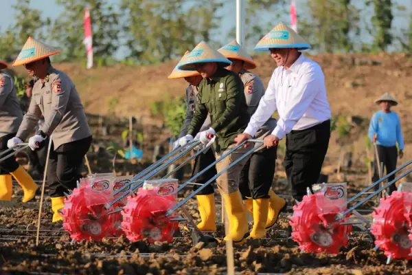 Dorong Ketahanan Pangan, Mentan Amran dan Kapolri Tanam Jagung Bersama di Grobogan
