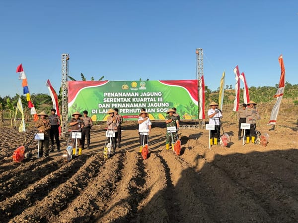 Kolaborasi untuk Pangan: Polres Semarang dan Forkopimda Gelar Penanaman Jagung Tahap Tiga