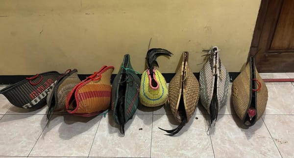 Penanganan Kasus Sabung Ayam di Kendal Tetap Berjalan, Polisi Klarifikasi Isu Hoaks