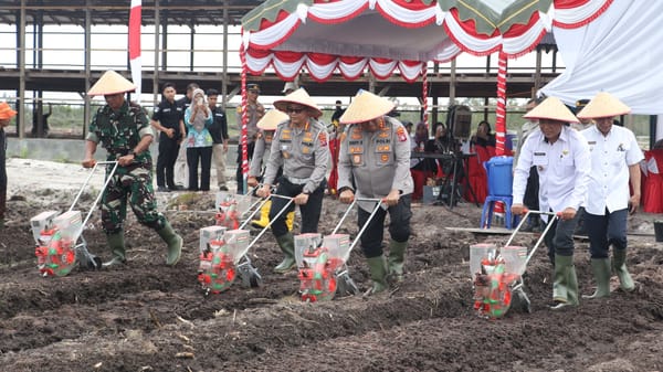 Polda Kalteng dan Polresta Palangka Raya Tanam Jagung di Rakumpit, Dukung Ketahanan Pangan Nasional