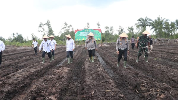 Sukseskan Ketahanan Pangan, Polda Kalteng dan Polresta Tanam Jagung Serentak di Rakumpit