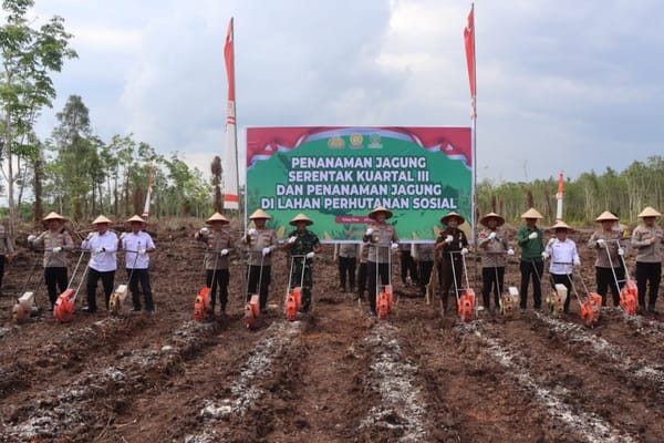Dukung Ketahanan Pangan, Polda Kalteng Gelar Penanaman Jagung Secara Massal