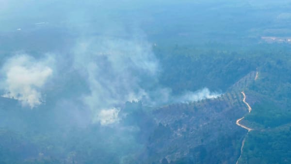 Cegah Karhutla Meluas, Kapolri Pantau Titik Api dan Evaluasi Kesiapan di Riau