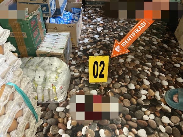 Satgas Damai Cartenz Kejar KKB Usai Tewaskan Warga di Intan Jaya