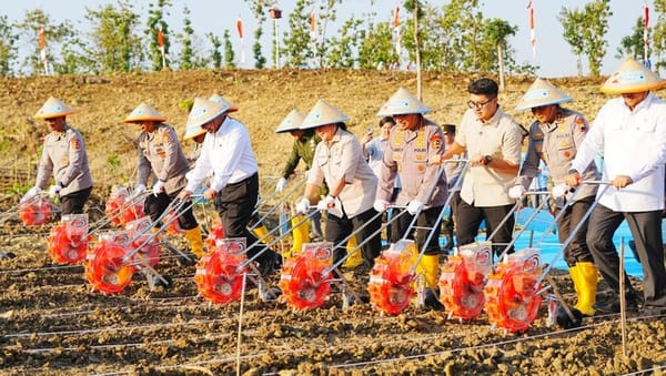 Kapolri Kembali Tanam Jagung Serentak, Komitmen Wujudkan Swasembada Pangan Nasional